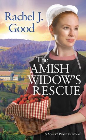 The Amish Widow's Rescue