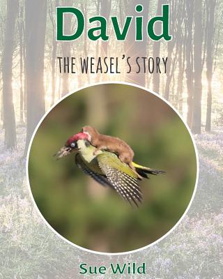 David: The Weasel's Story