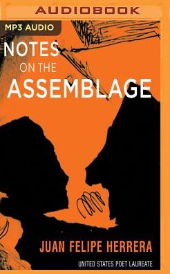 Notes on the Assemblage