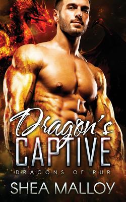 Dragon's Captive