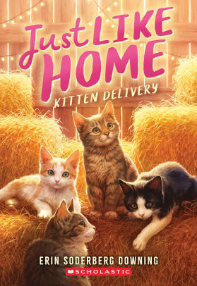 Kitten Delivery