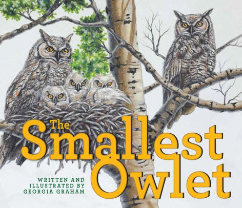 The Smallest Owlet