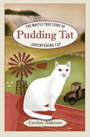 The Mostly True Story of Pudding Tat, Adventuring Cat