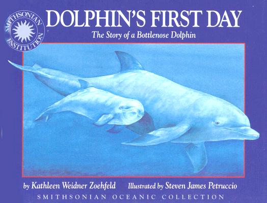 Dolphin's First Day