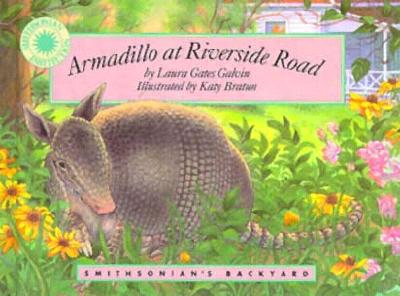 Armadillo at Riverside Road