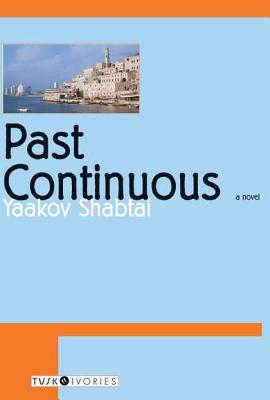 Past Continuous