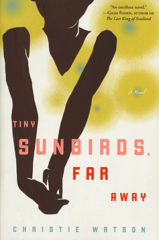 Tiny Sunbirds, Far Away