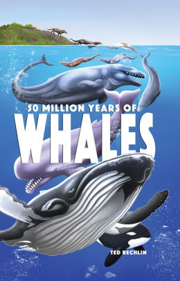 50 Million Years of Whales