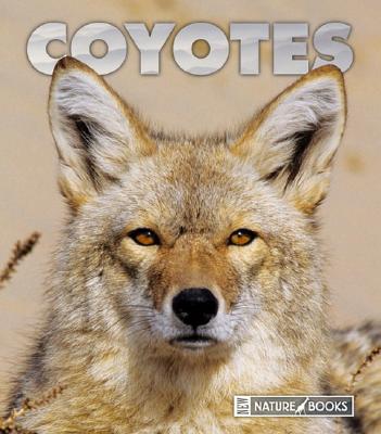 Coyotes