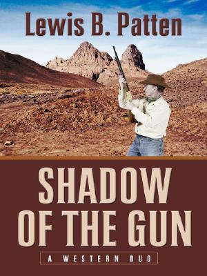 Shadow of the Gun