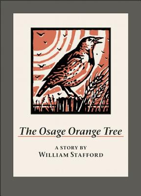 The Osage Orange Tree