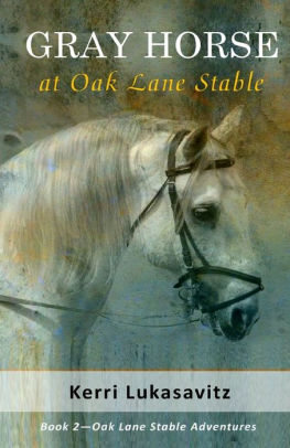 Gray Horse at Oak Lane Stable