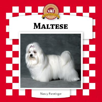 Maltese