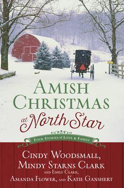 Amish Christmas at North Star: Four Stories of Love and Family