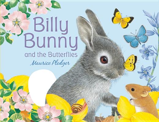 Billy Bunny and the Butterflies