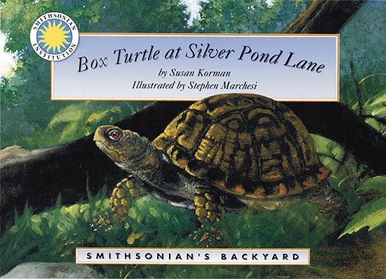 Box Turtle at Silver Pond Lane