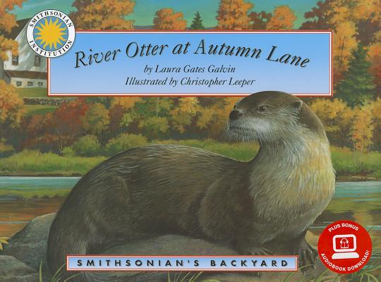 River Otter at Autumn Lane