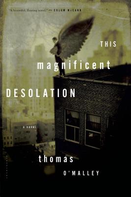 This Magnificent Desolation