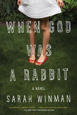 When God Was a Rabbit