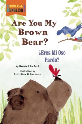 Are You My Brown Bear?