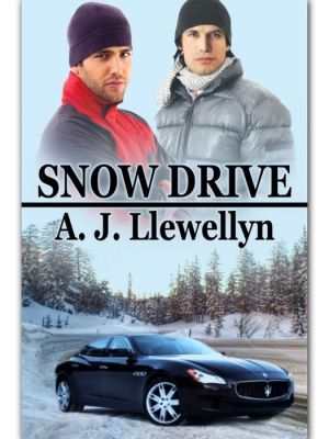 Snow Drive