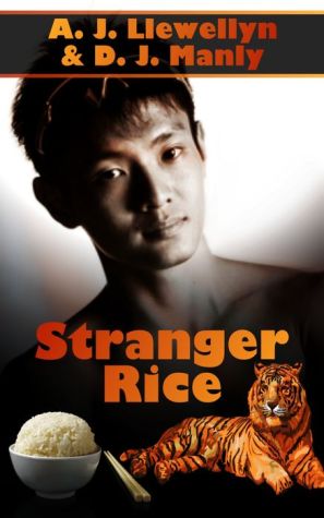 Stranger Rice