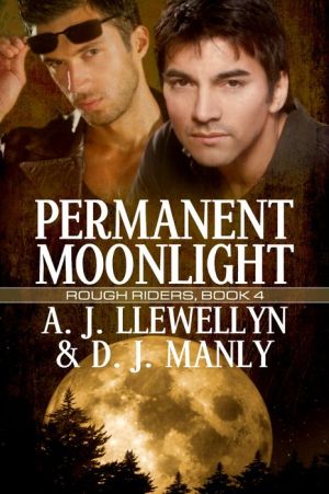 Permanent Moonlight