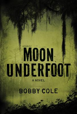 Moon Underfoot