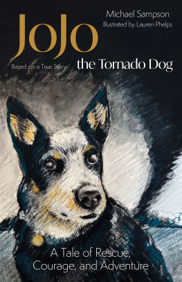 JoJo the Tornado Dog: A Tale of Rescue, Courage, and Family
