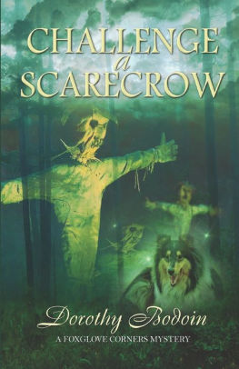 Challenge a Scarecrow