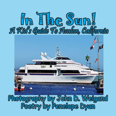 In The Sun! A Kid's Guide To Avalon