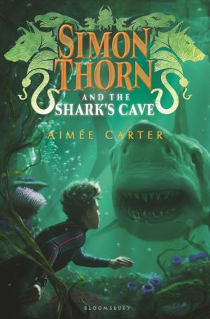 Simon Thorn and the Shark's Cave