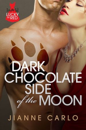 Dark Chocolate Side of the Moon