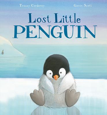 Lost Little Penguin