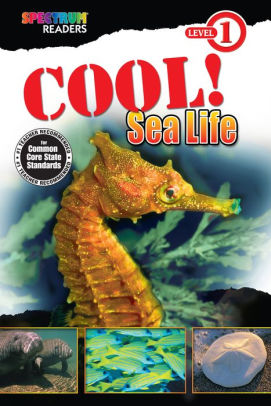 Cool! Sea Life