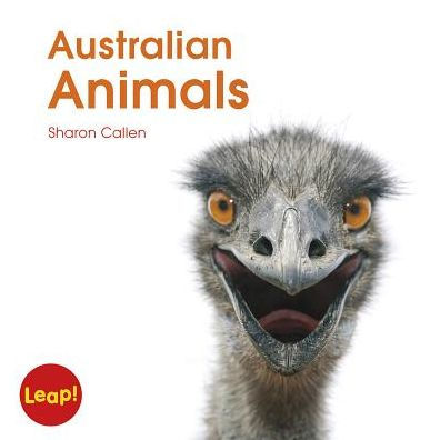 Australian Animals