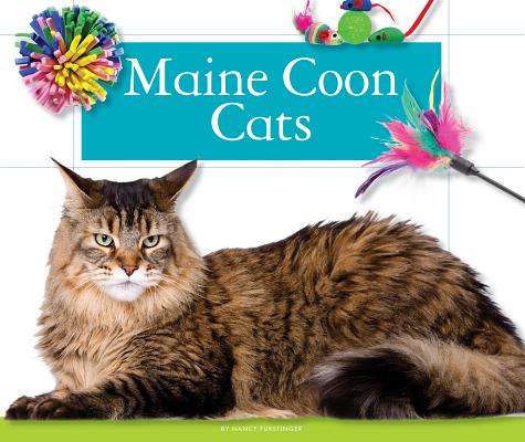 Maine Coon Cats