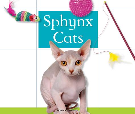 Sphynx Cats