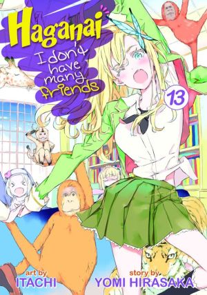 Haganai: I Don't Have Many Friends Vol. 13