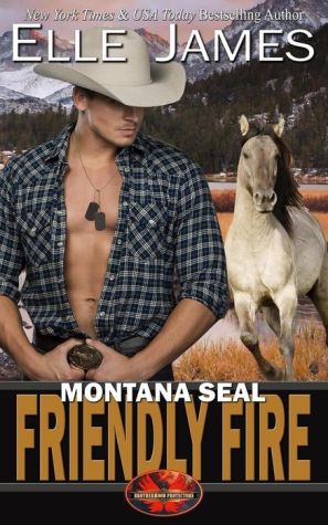 Montana SEAL Friendly Fire