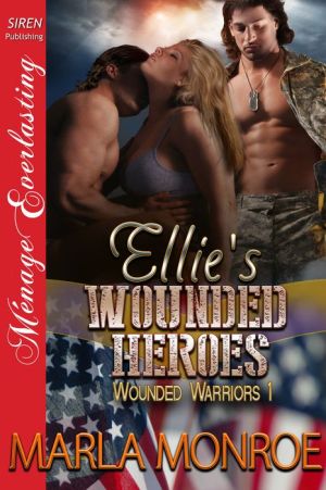 Ellie's Wounded Heroes