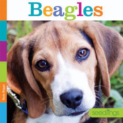 Beagles