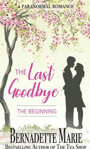 The Last Goodbye - The Beginning