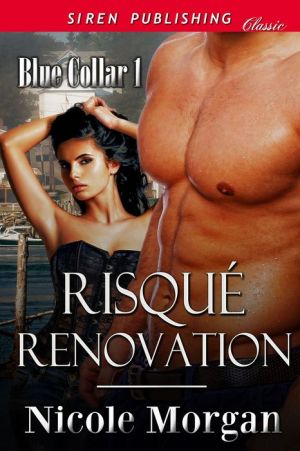 Risque Renovation