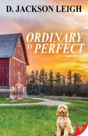 Ordinary Is Perfect