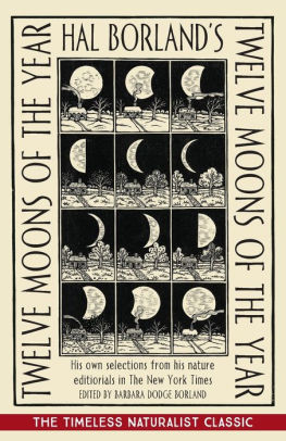 Twelve Moons of the Year