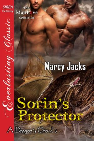 Sorin's Protector