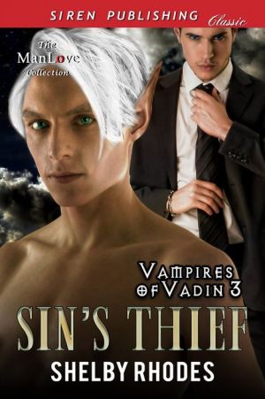 Sin's Thief