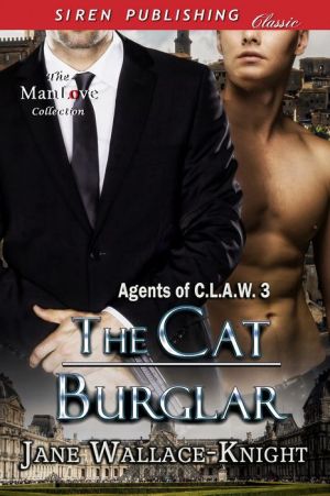 The Cat Burglar