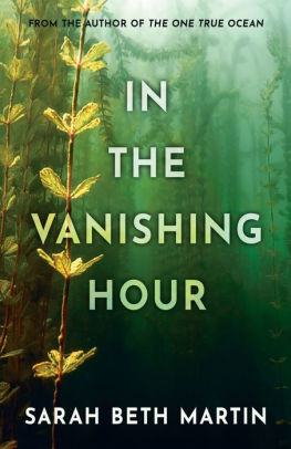 In the Vanishing Hour